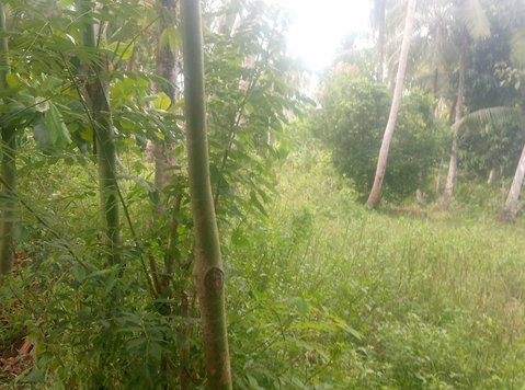 Mtule Agricultural farmland for sale - Terreni