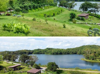 The Best Feng Shui House For Sale, surrounded by reservoir a - Huse
