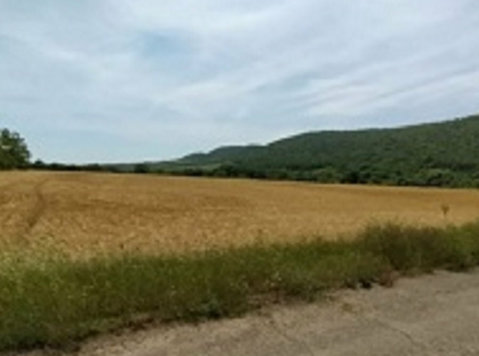 For Sale 204512sqft (19021 Sqm) Building Land Bulgaria - Земјиште