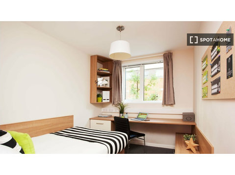 Aluga-se quarto numa residência em Haringey, Londres - Aluguel