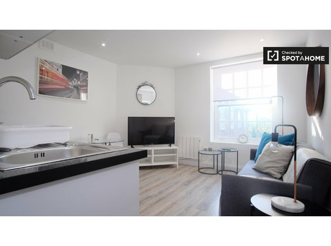 Modern 2-bedroom flat to rent in Battersea Park, London - 公寓
