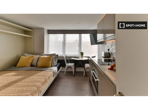 Studio apartment for rent in Cricklewood, London - Apartmány