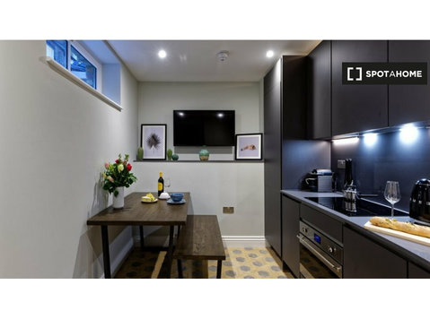 Studio apartment for rent in Marylebone, London - Apartmani