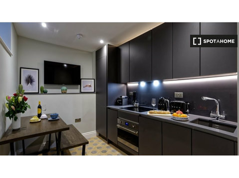 Apartament typu studio do wynajęcia w Marylebone w Londynie - Mieszkanie