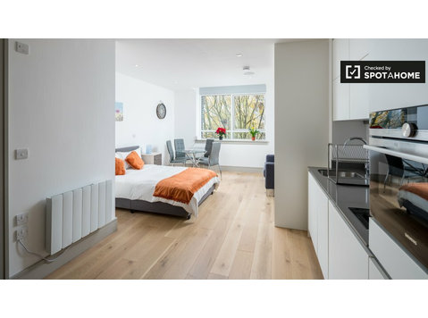 Studio apartment for rent in Seven Sisters, London - Apartemen