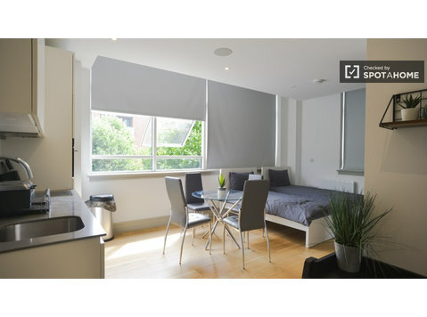 Studio-Apartment zur Miete in South Tottenham, London - Wohnungen