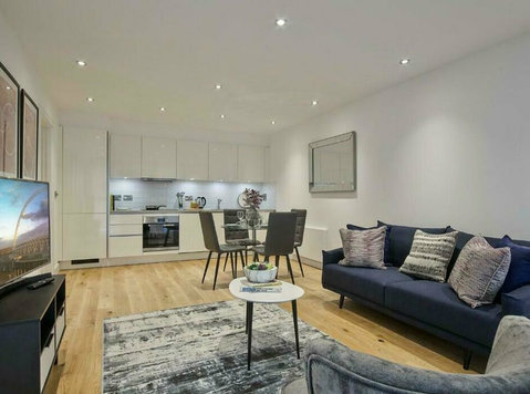 large one bedroom flat in london - Apartmány