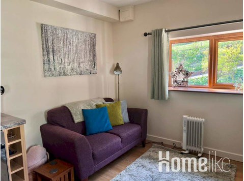 Pass the Keys | Old Forge Pumphouse Annexe - Apartments