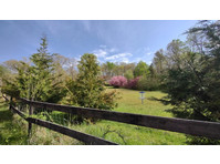 Greenwell Dr, Knoxville - Collocation