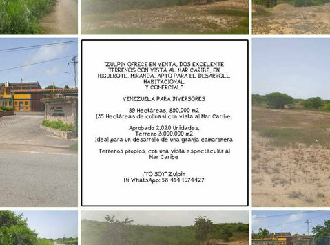 Terreno En Venta Higuerote Venezuela - Grundstücke