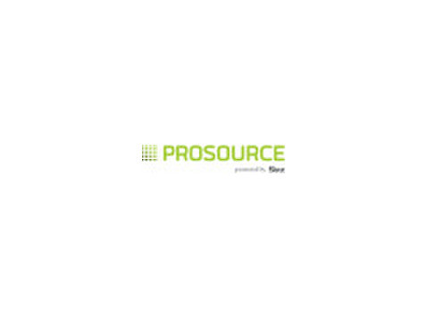 Prosource - Business Analyst - Muu