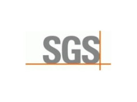 Food Safety Auditor - Altele