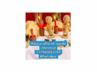 Retour Affectif Rapide +22960663782 Whatsapp - Web razvoj