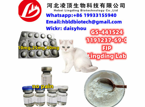 Gs441524 tablets/powder/injection 1191237-69-0 FIP - Laboratoriemedicin, Labb & Patologi tjänster