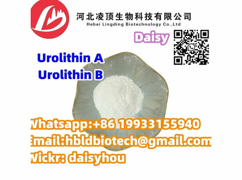 Urolithin A Powder 99% Hplc Anti-aging Cas 1143-70-0 - Servicios de Laboratorio y Patología