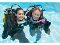 Become A Scuba Dive Professional!! - 스포츠/레크레이션