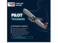Soar to Success: A Guide to Pilot Training in India - Annet