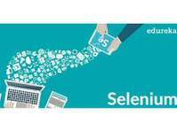 Selenium Course - Datatjenester