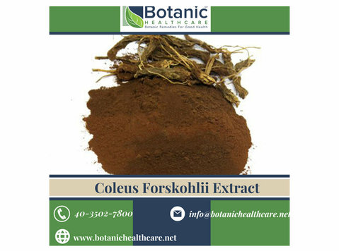 Potential of Wellness with Coleus Forskohlii Extract - Healthcare: Other
