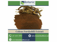 Potential of Wellness with Coleus Forskohlii Extract - Autres