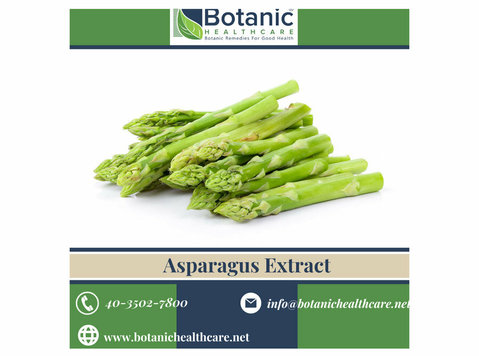 Rejuvenate from Within with Asparagus Extract - Altele