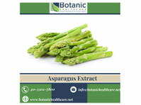 Rejuvenate from Within with Asparagus Extract - อื่นๆ
