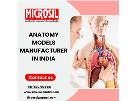 Anatomy Models Manufacturer In India - Dịch vụ phòng thí nghiệm & Bệnh học