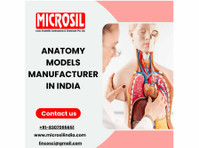 Anatomy Models Manufacturer In India - Лабораторија & Патологија