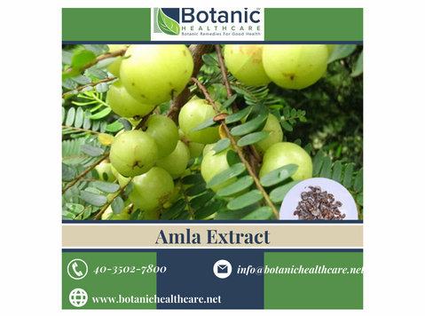 Embrace Wellness with the Power of Amla Extract: - Sonstiges