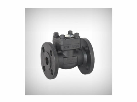 Forged Steel Valve Manufacturers in Ahmedabad, India | Mnc V - Industrie