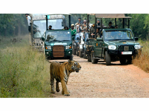 Chhatwal resort pench - 호텔/리조트