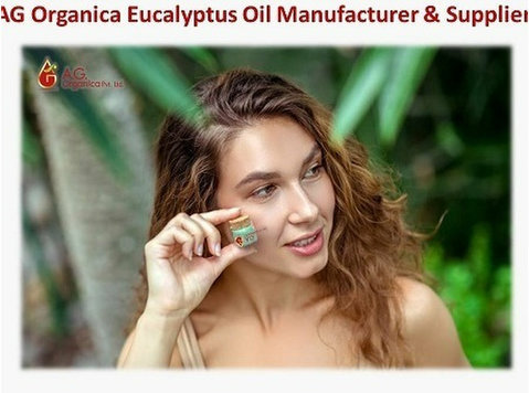 Buy Pure Eucalyptus Oil in Bulk Online from Ag Organica - தயாரிப்பு  மற்றும்  உற்பத்தி 