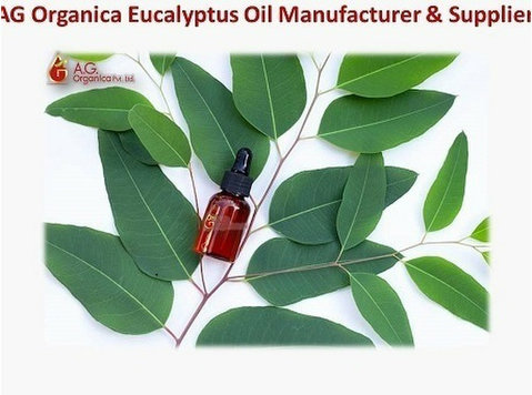 Top Eucalyptus Oil Manufacturer in India  Ag Organica - Marketing