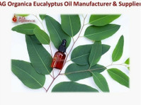 Top Eucalyptus Oil Manufacturer in India  Ag Organica - மார்கெட்டிங்