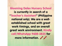 Teacher's Assistant Needed - Domari