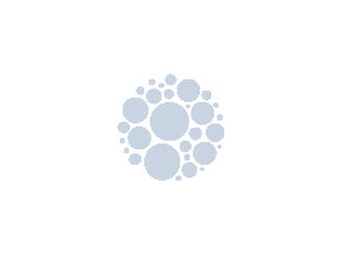 Group Industrial Financial Controller - Near Border - Business (General): Other