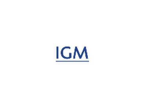 Manager Finance bij IGM - دوسری/دیگر