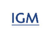 Manager Finance bij IGM - Iné