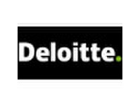 Business Analyst Tax MKB Accountancy & Advies bij Deloitte - Finans