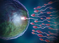 Australian Concept Infertility Center (4) - Laboratórium és kórtan
