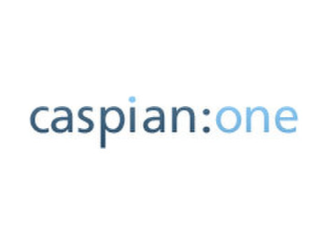 Systems Project Manager - Ingineri