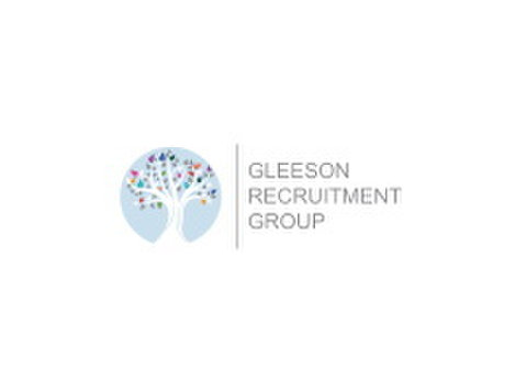 Chief Technology Officer - Ingenieure