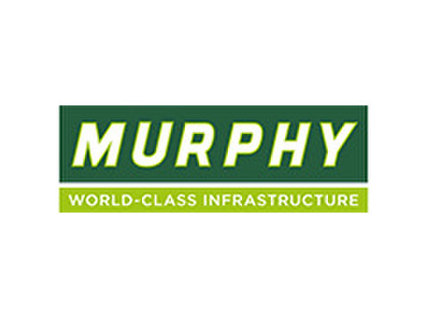 D365 Project Manager - مهندسی