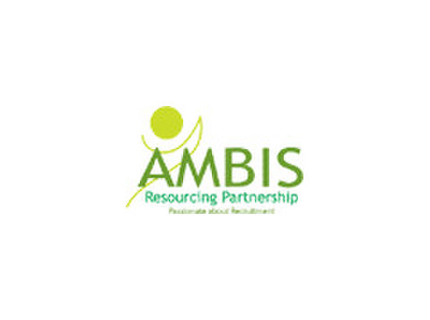CRM Implementation Consultant - Ingineri