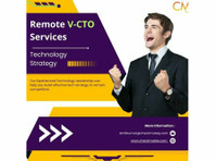 ON-DEMAND VIRTUAL CTO IN INDIA - Computer programmering