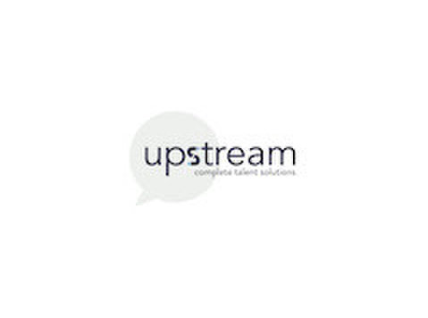 Senior Commercial Category Manager - Ingineri
