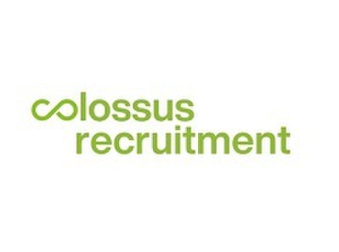 Technical Delivery Manager - Ingenieure