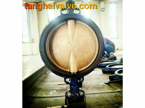Lug Concentric Type Butterfly Valve with Rubber Seated（tangh - การพัฒนาธุรกิจ