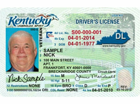 Driver's license, Passport, work permit, etc. Get yours - Şoferi