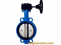 Concentric Type Butterfly valve with resilient seated - 采购